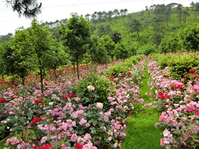 香鹿山生态陵园