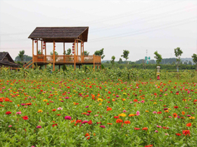 香鹿山生态陵园